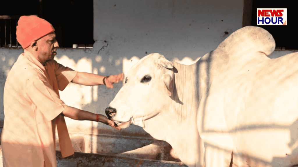 CM Yogi Gorakhpur Visit 3 March, Gauseva in UP, Gorakhnath Temple News.