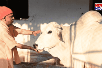 CM Yogi Gorakhpur Visit 3 March, Gauseva in UP, Gorakhnath Temple News.