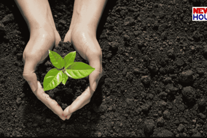 Kashi Guinness World Record 2026, Varanasi Tree Plantation Record, China Record Broken by India, Sujabad Domri Urban Forest.