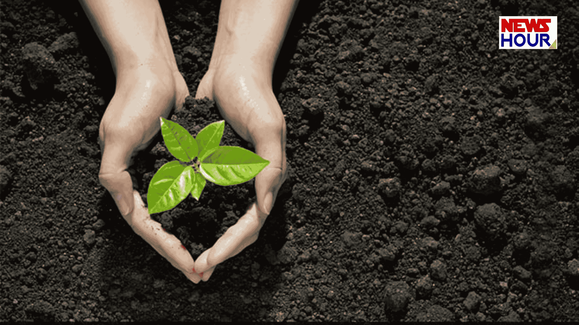 Kashi Guinness World Record 2026, Varanasi Tree Plantation Record, China Record Broken by India, Sujabad Domri Urban Forest.