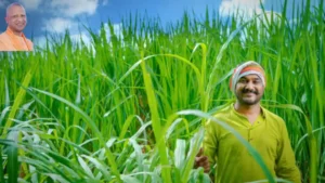 Surya Pratap Shahi Sugarcane Farmers Payment