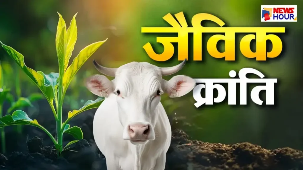 Mini Biogas Plant UP Yogi Government Yojana