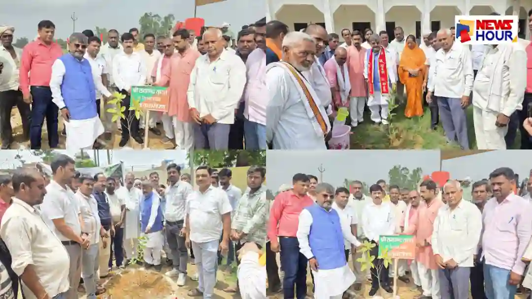 Ek Ped Maa Ke Naam Rudauli Miyawaki Plantation