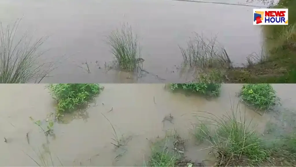 Saryu River Water Level Decreases Rudauli Flood Alert Barrage Discharge